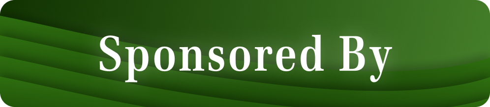 Sponsor by