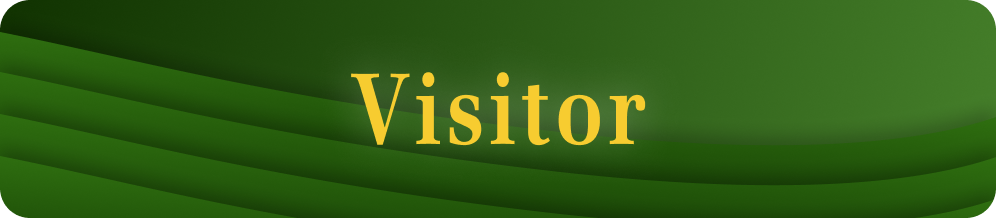 Visitor